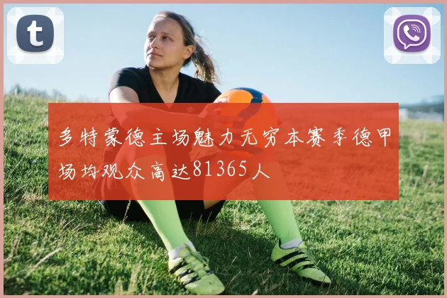 多特蒙德主场魅力无穷本赛季德甲场均观众高达81365人